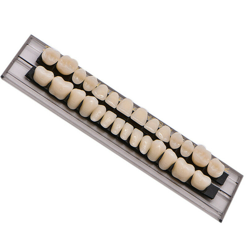 700Pcs Denture Shade A2 23# Acrylic Resin Dental False Teeth Upper Lower Full US