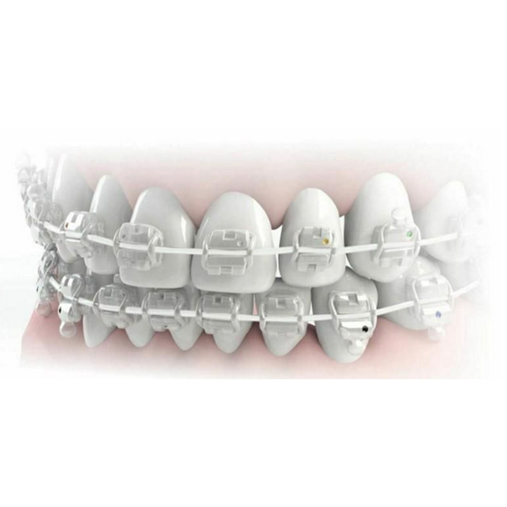 1pcs Dental Morelli NiTi Aesthetic SuperElastic Archwire Rectangular Jaw