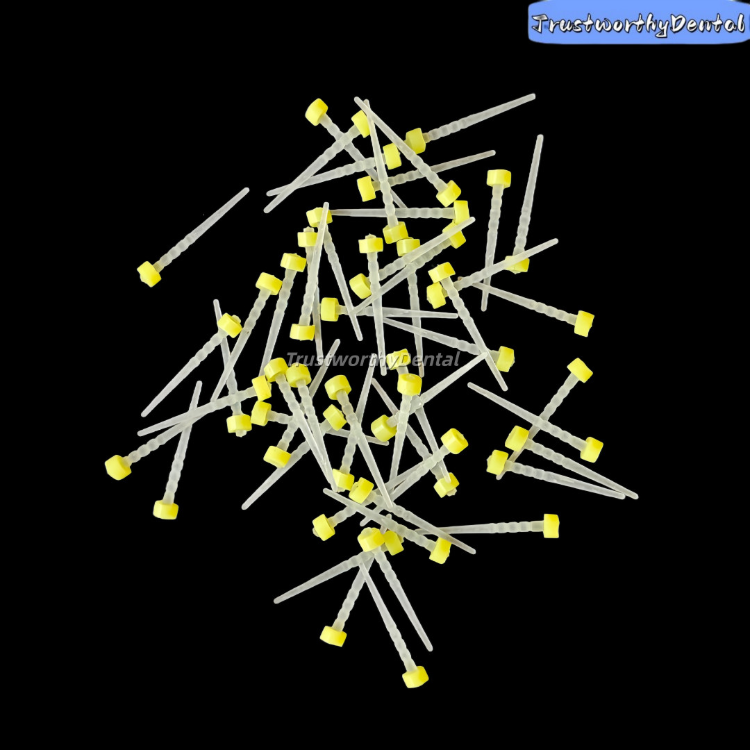 3D Macro Retention Dental Fiber Post Coronal Glass Screw Fibre Root Posts