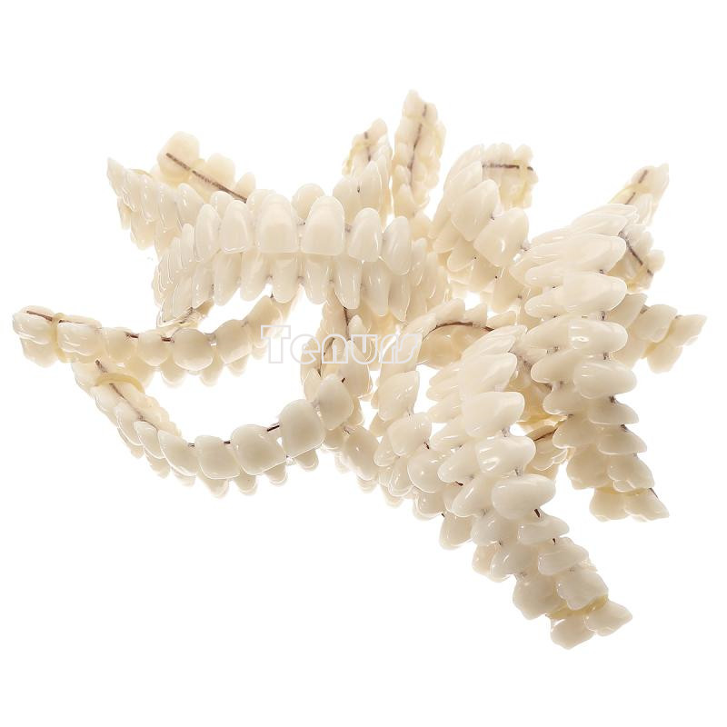 5setResin Teeth 22/23/24 #A2 Denture Manufactured Artificial Preformed Dentition