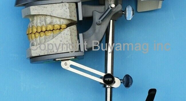 Dental X-Ray Mouth Close Mechanism For X-Ray Model