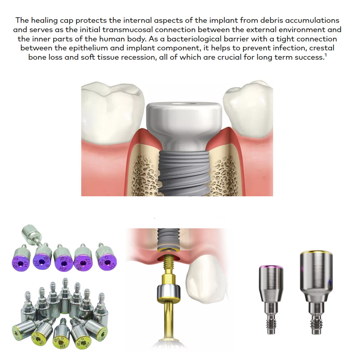 Nobel Healing Cap Abutment Dental RP NP Fit Nobel Active Φ3.6/5.0/6.0