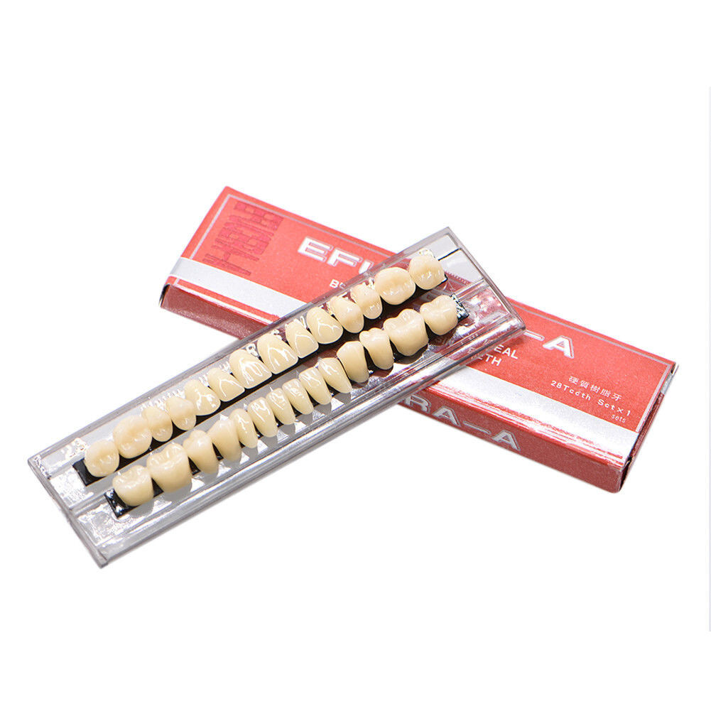 Dental Acrylic Resin Denture 23# A2 A3 Shade Full Set Teeth Anterior Posterior