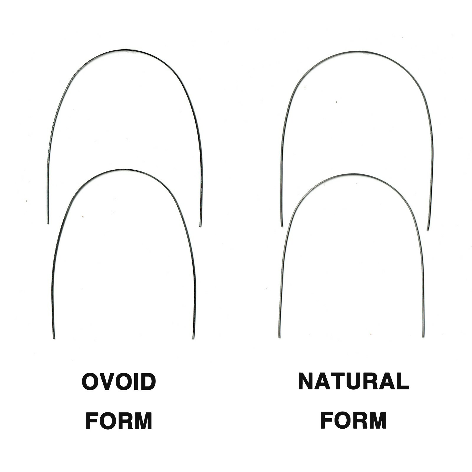 J&J Ortho™ Orthodontic Archwire Ovoid / Natural Stainless Steel / NiTi (10/pk)