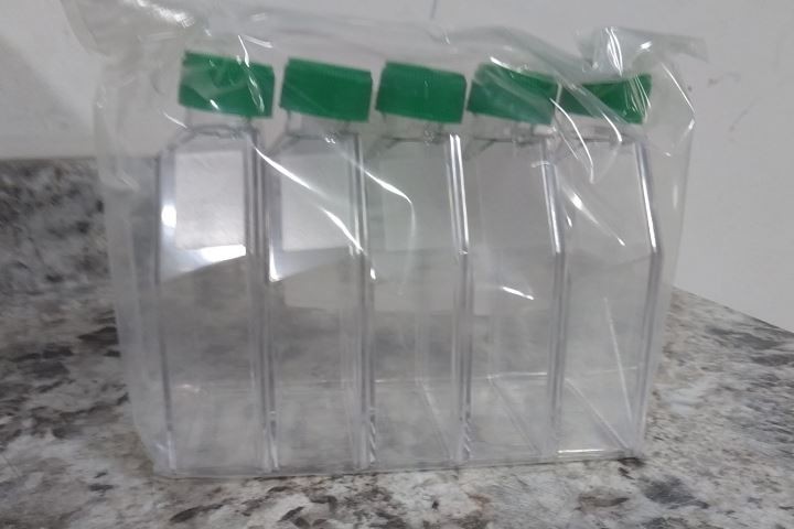 Celltreat 229341 100 Pk Sterile Treated Culture Flasks with Vented Cap