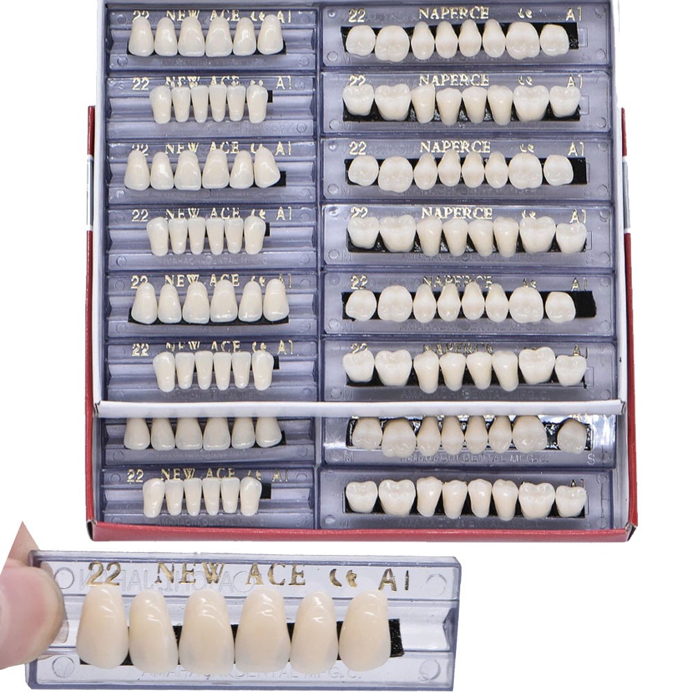 168PCS Acrylic Resin Denture Dental Upper Lower Shade A1 #22 Teeth Set USA
