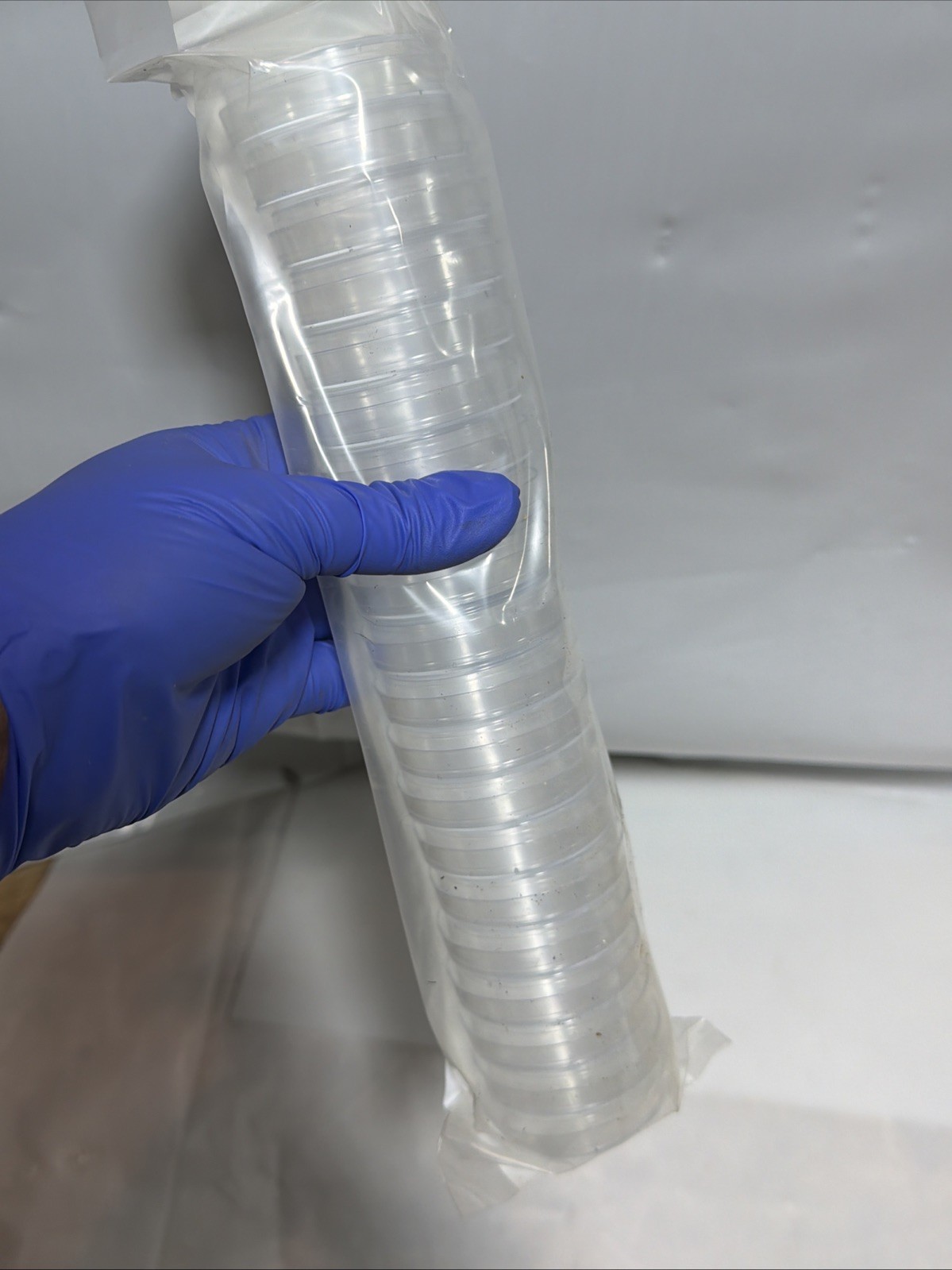 BD Falcon Primaria Tissue Culture Dishes – 353802 – Full Box of 180 Brand New