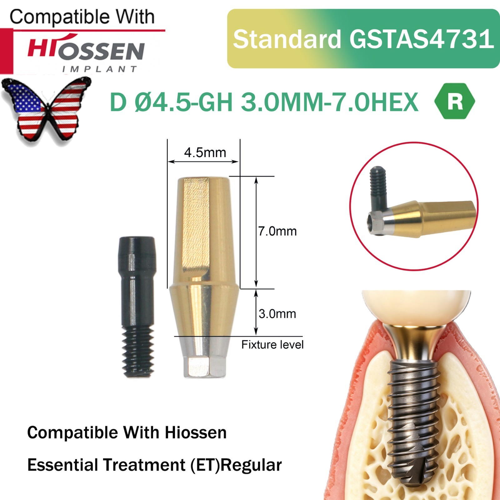 Dental Titanium Straight Abutment Fit Osstem Hiossen ET Regular Cement Retained