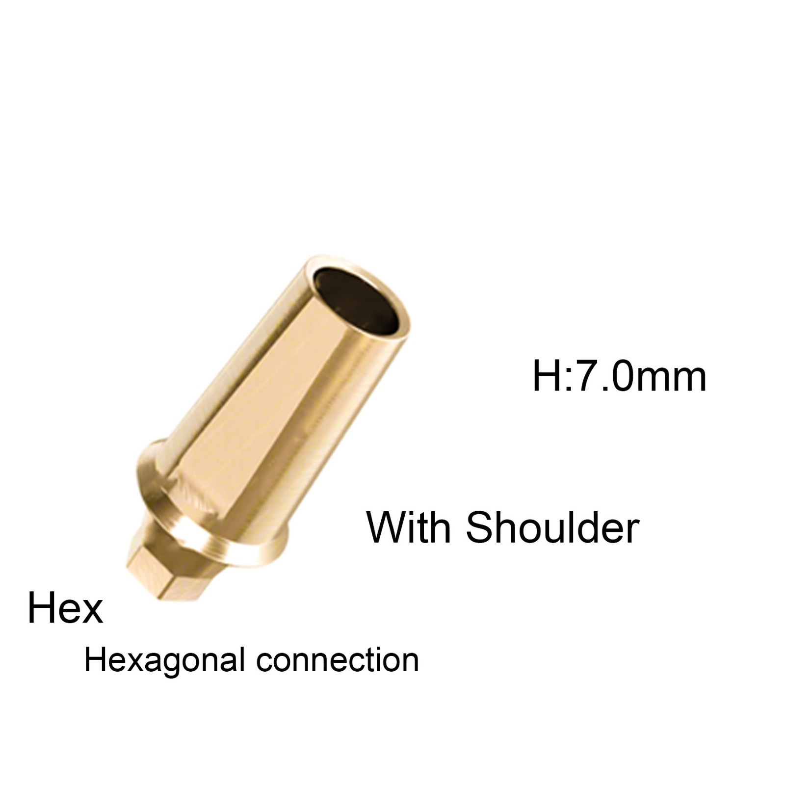 Hiossen ET TS Ti Straight Regular Hex Abutment Single Crown Implant Fixed Bridge