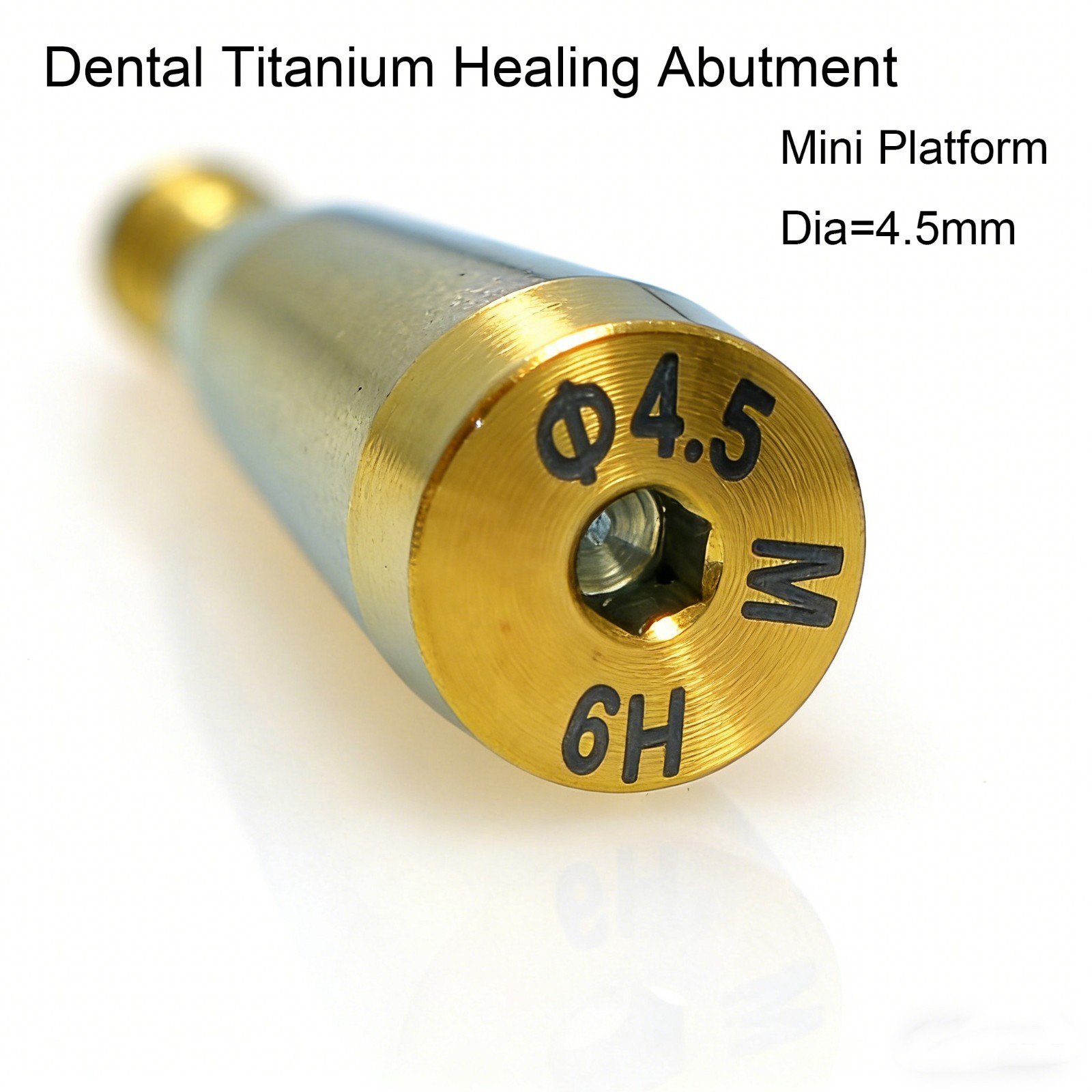 US Dental Healing Abutment Cover Screw Mini Regular Compatible Osstem Hiossen ET