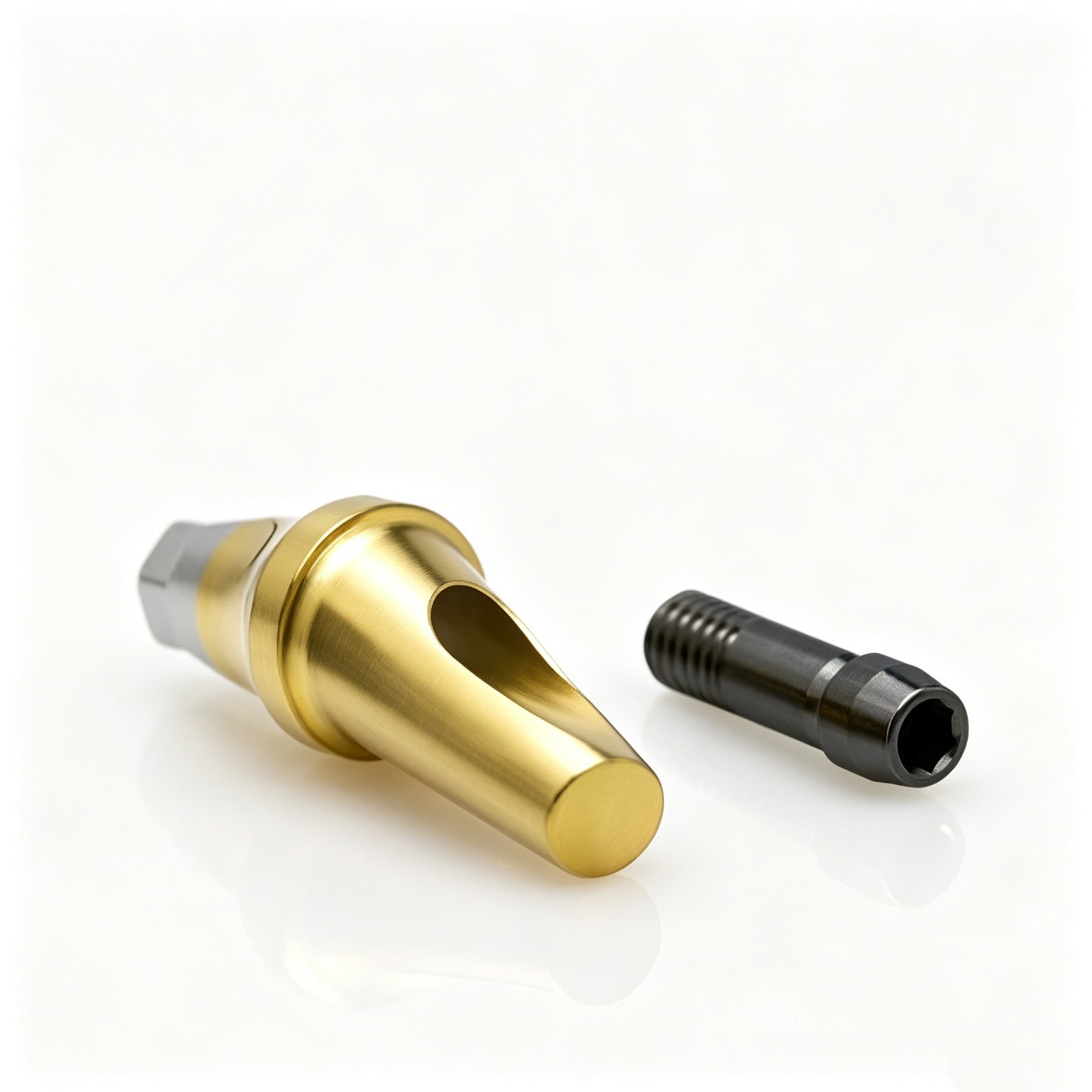 US Hiossen ET OSS TS 17° Angled Anatomic Cemented Abutment Titanium Mini Regular