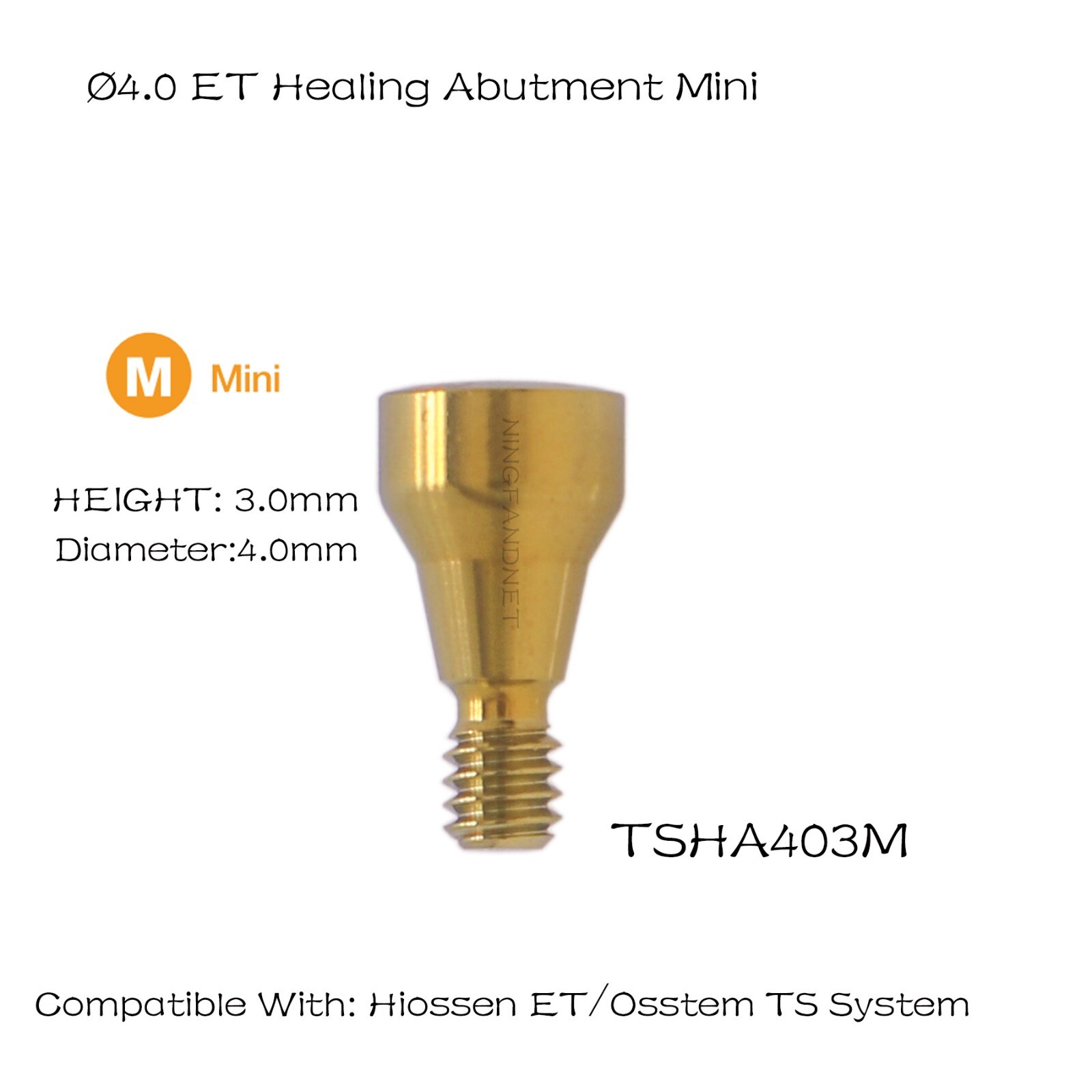 US Hiossen Dental Straight Locator Healing Cap Abutment Regular Mini ET Platform