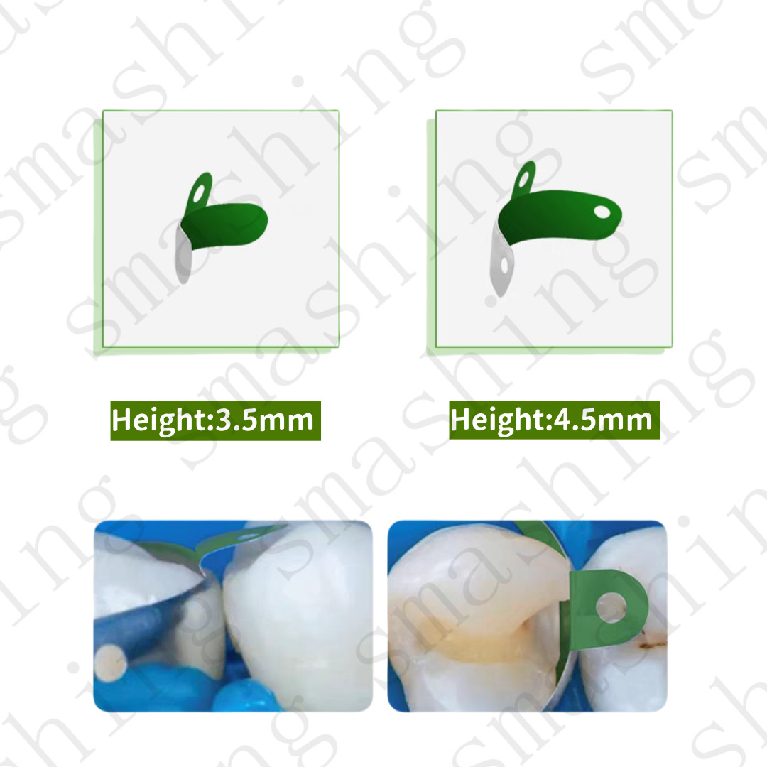 Dental Matrix Bands Matrices Clamp Ring Sectional Matrix System Adaptive Wedge