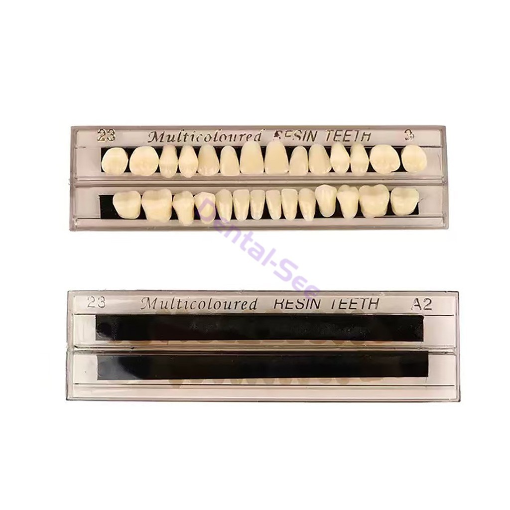 56Pcs Dental Acrylic Resin Full Set Teeth Upper Lower Shade #22 #23 A2 A3