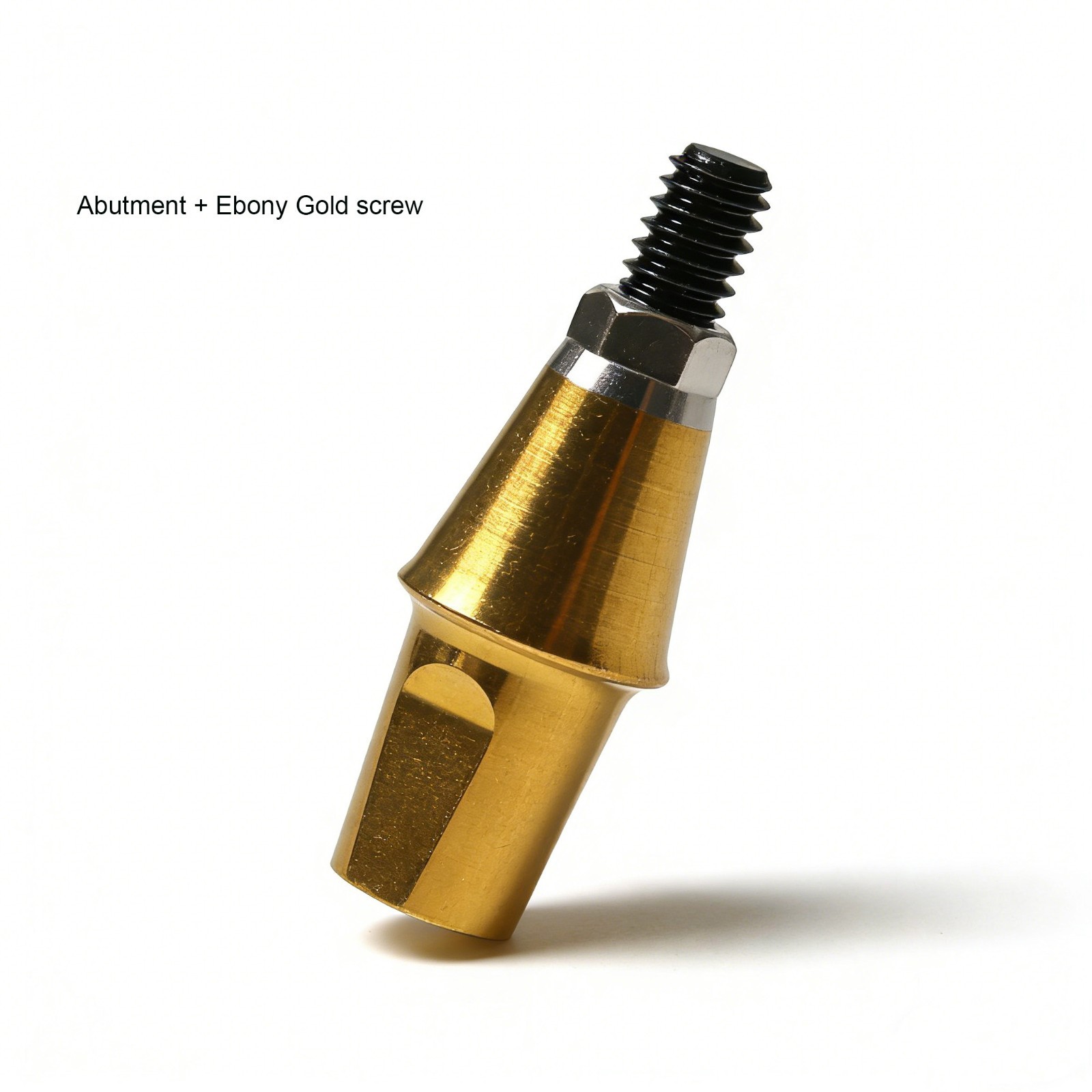 Hiossen ET TS Ti Straight Regular Hex Abutment Single Crown Implant Fixed Bridge