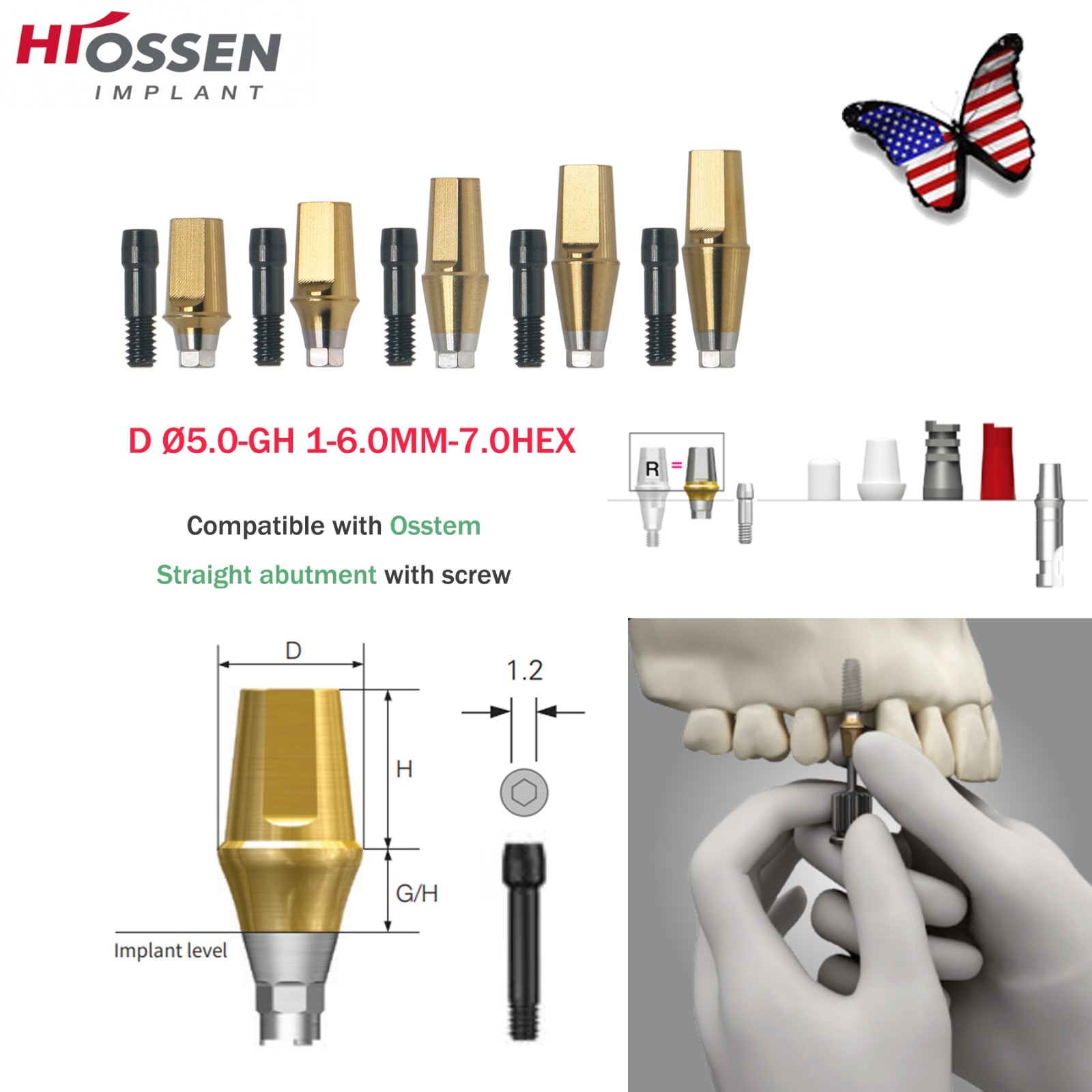 Dental Titanium Straight Abutment Fit Osstem Hiossen ET Regular Cement Retained