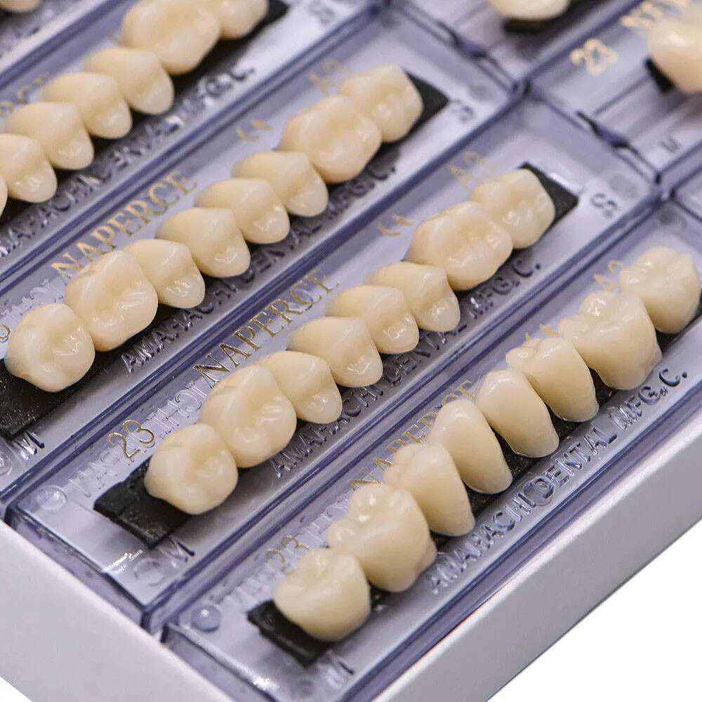 168Pcs Dental Acrylic Resin Denture 23# Shade A3 Full Upper Lower False Teeth