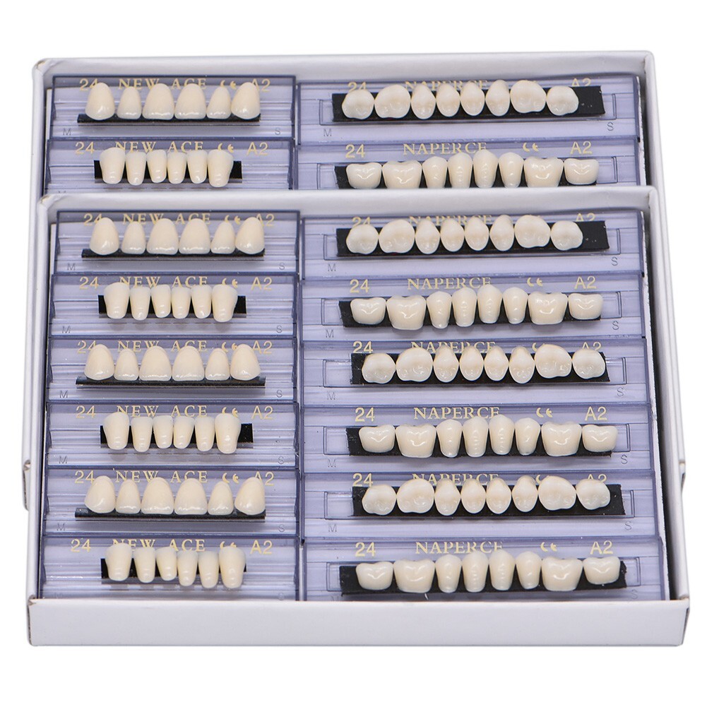 168Pcs Acrylic Resin Denture #24 Dental Upper Lower Shade A2 Teeth Set USA
