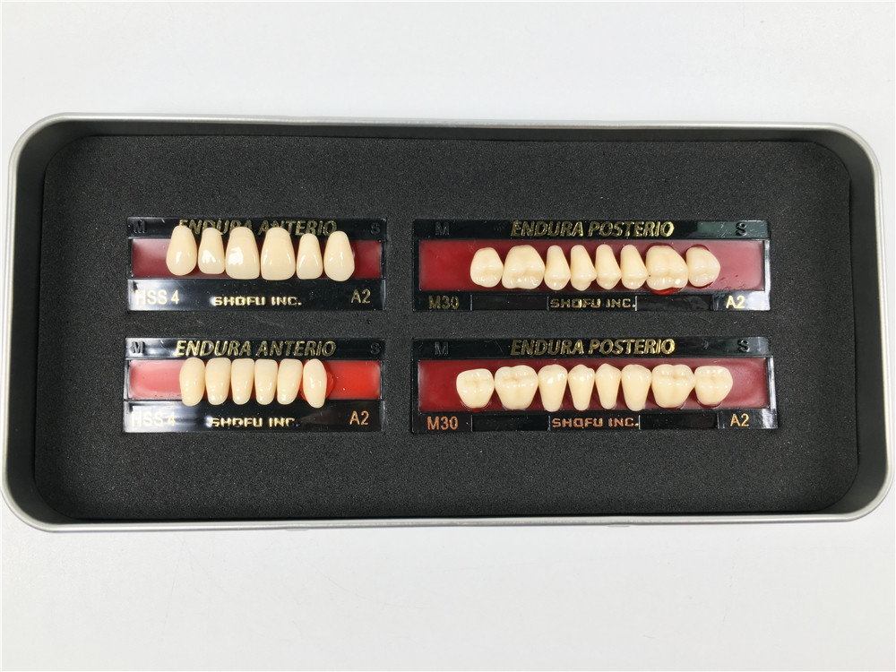 1 Box of SHOFU ENDURA Dental Denture False Teeth Resin A2 M28 M30 M32 Plastic