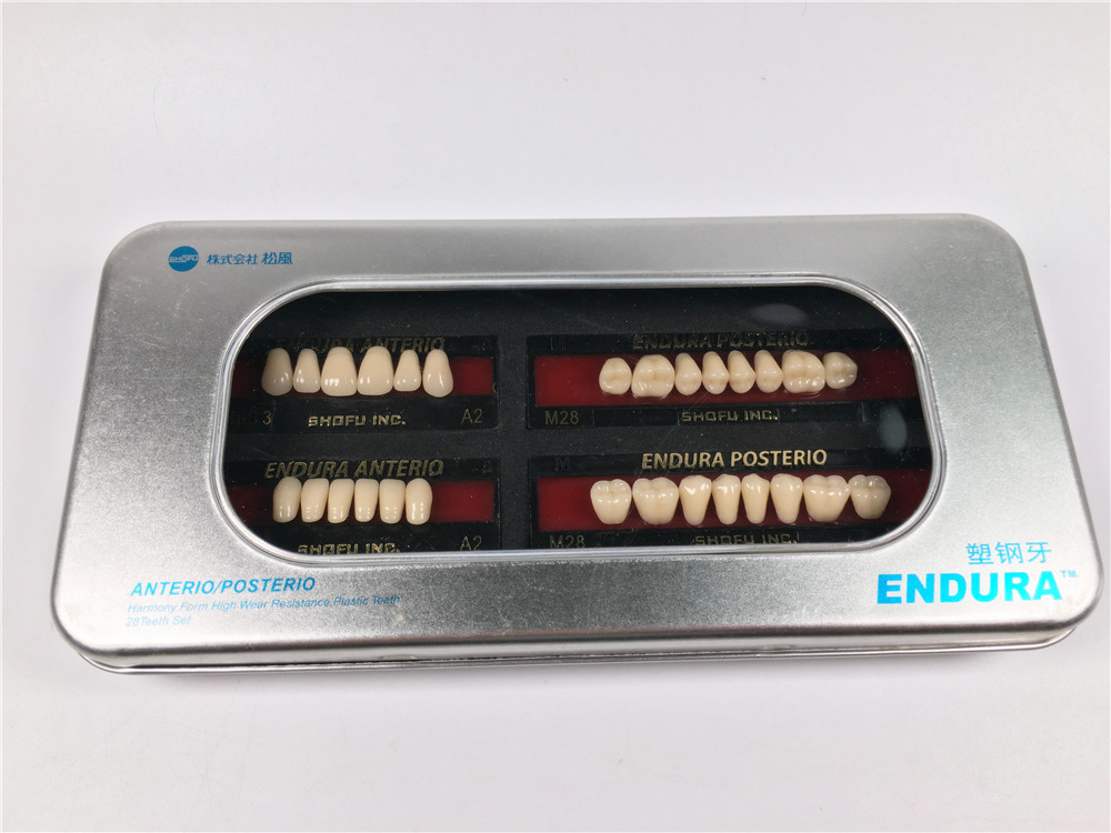 1 Box of SHOFU ENDURA Dental Denture False Teeth Resin A2 M28 M30 M32 Plastic