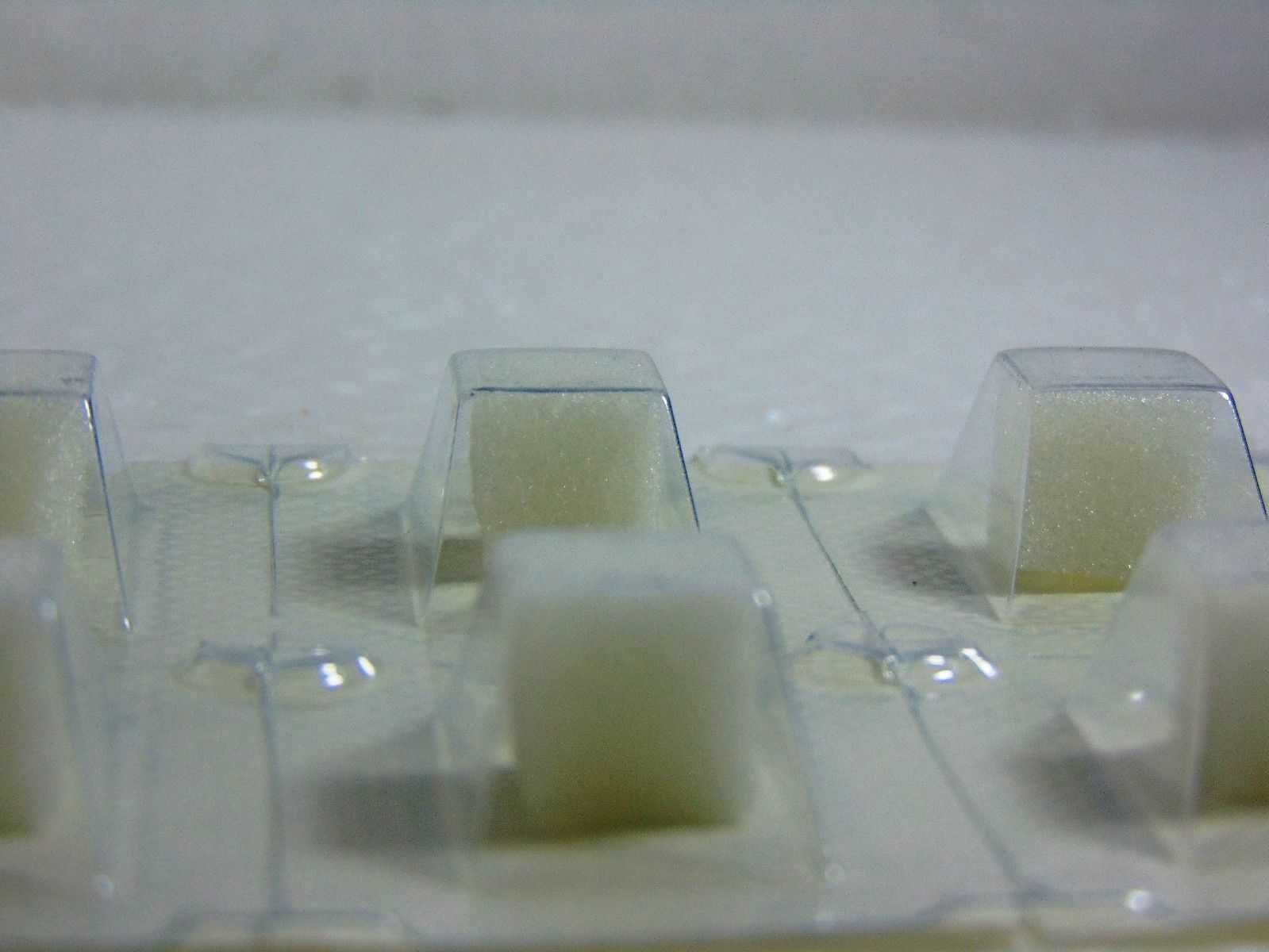 2x 32 Dental Hemosponge oral surgery sterile homeostatic absorbable gelatin