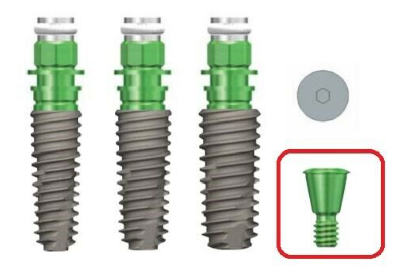 OSSTEM HIOSSEN ETIII GS COVER SCREW REGULAR Implant
