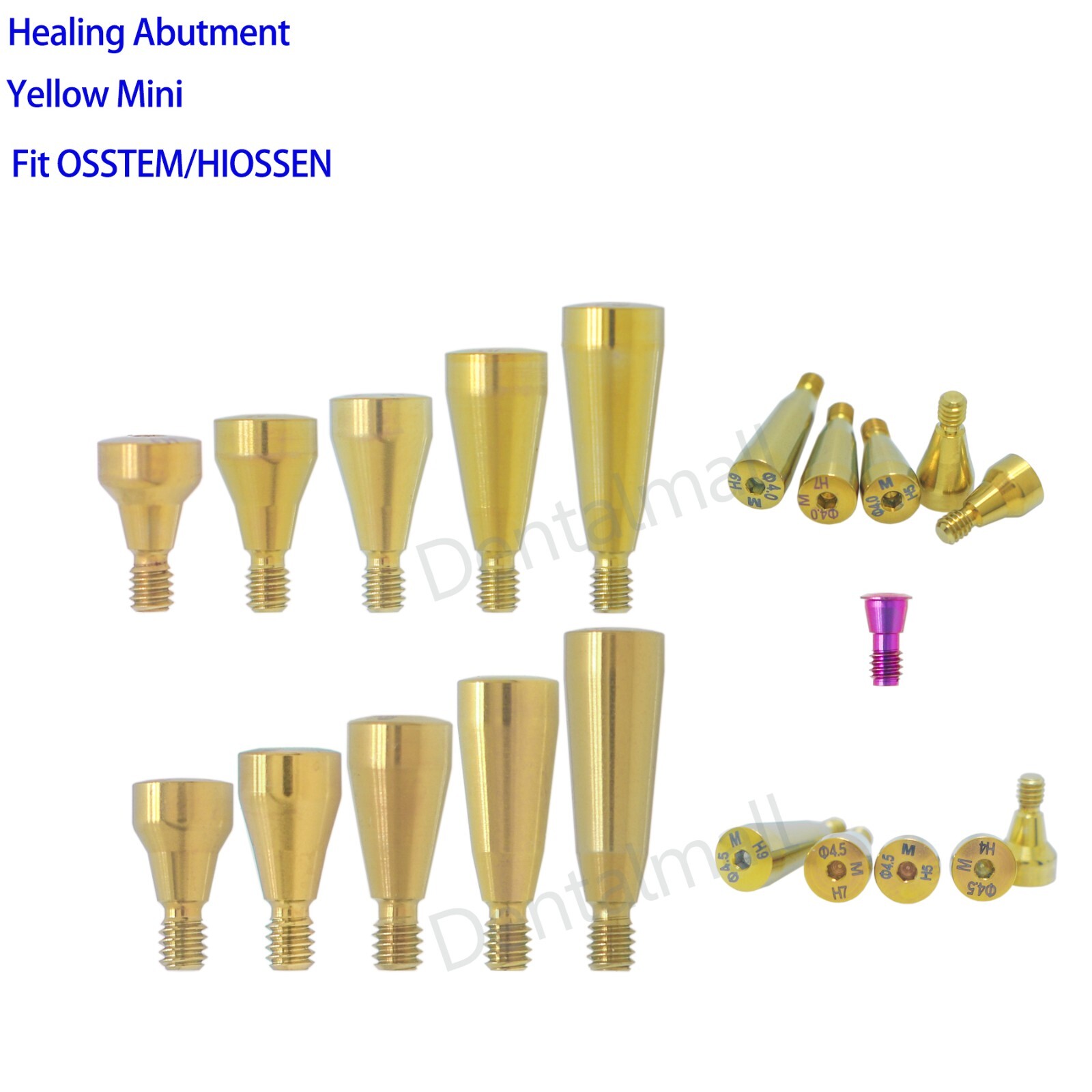 5Pcs Dental Healing Abutment Cover Screw Mini Regular Fit Osstem Hiossen