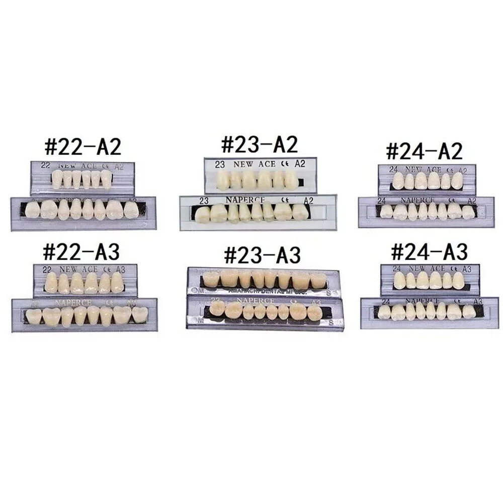 168X Acrylic Resin A1/A2/A3 Dental Denture Teeth Upper Lower Shade 22/23/24# US