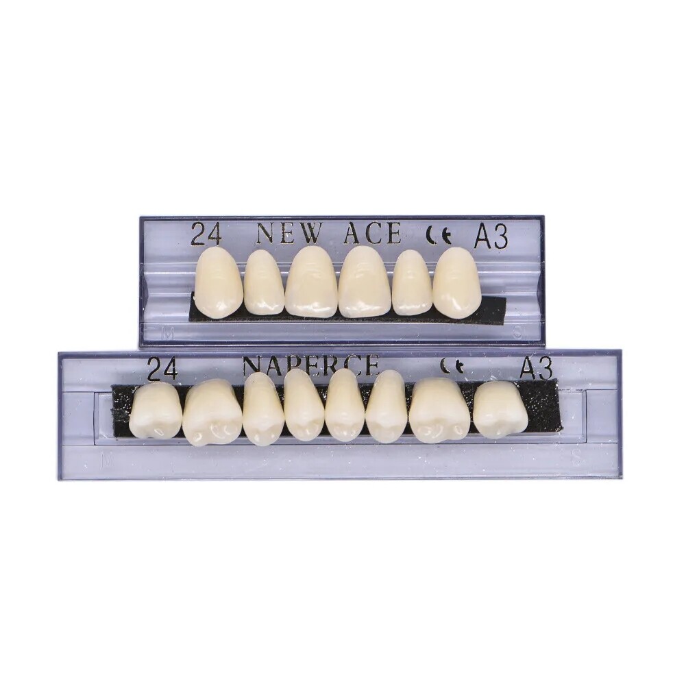 168Pcs Dental Acrylic Resin Denture A3#24 Shade Full Upper Lower False Teeth US