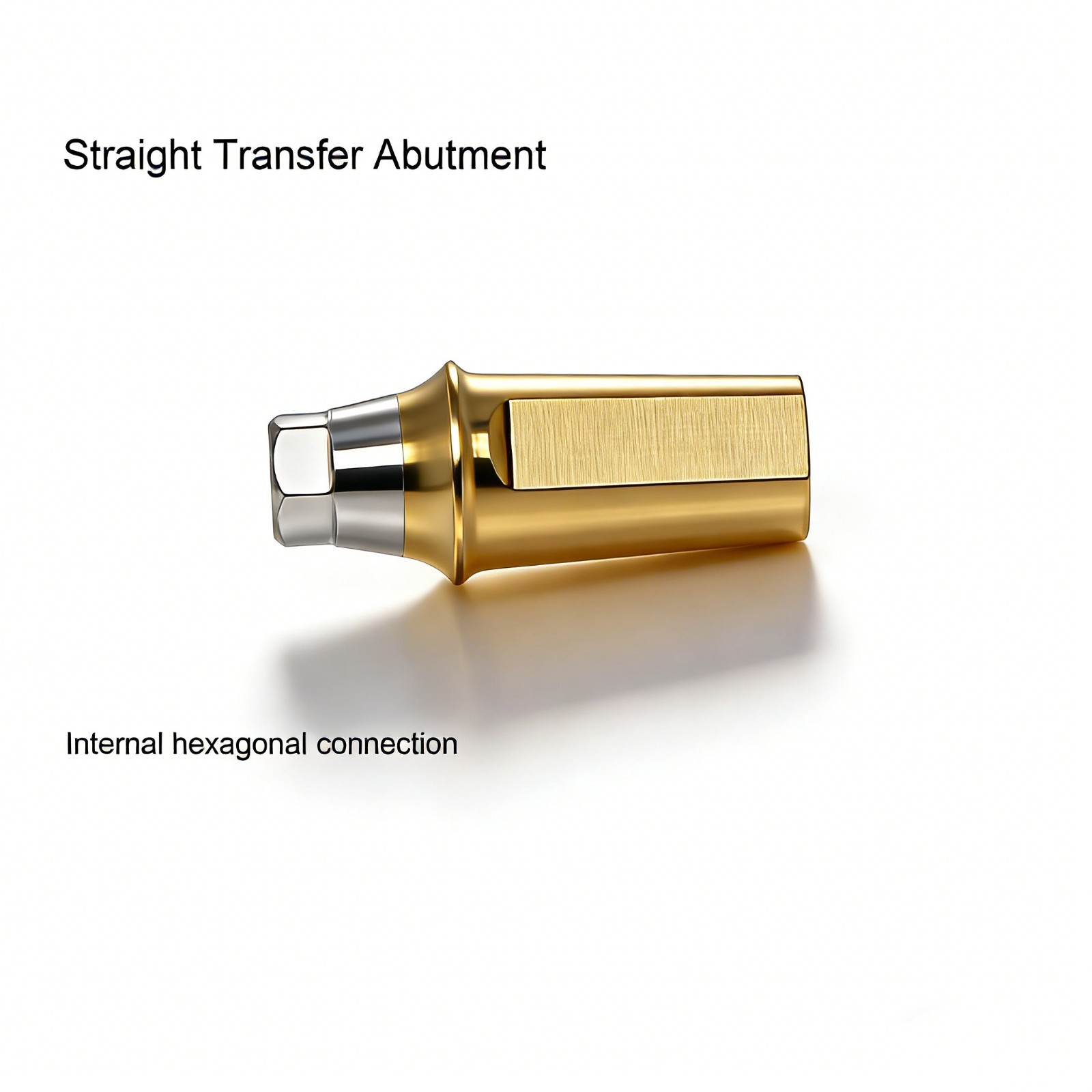 Hiossen ET TS Ti Straight Regular Hex Abutment Single Crown Implant Fixed Bridge