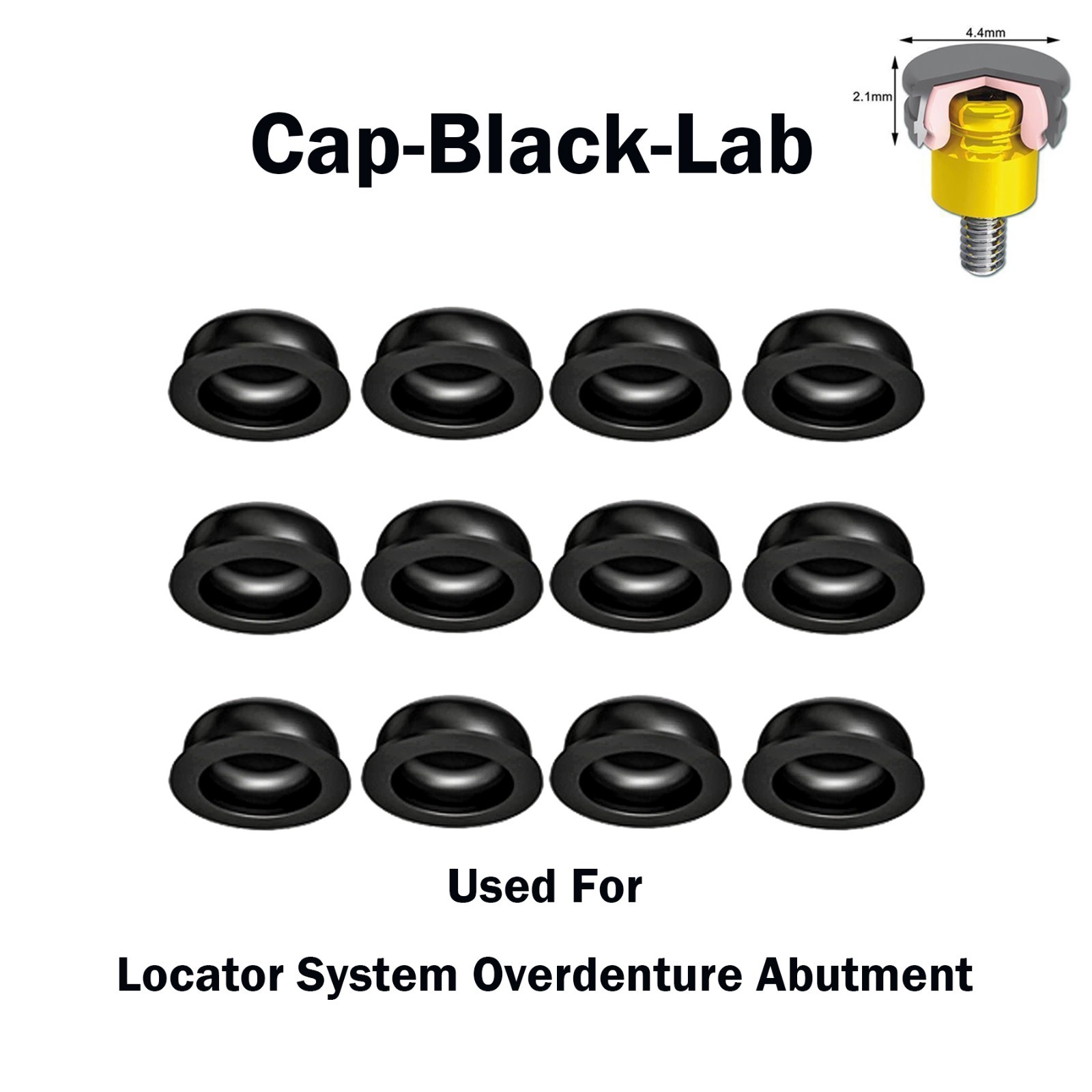 Dental Zest Locator Replacement Metal Housing &Black Lab Processing Cap Assembly