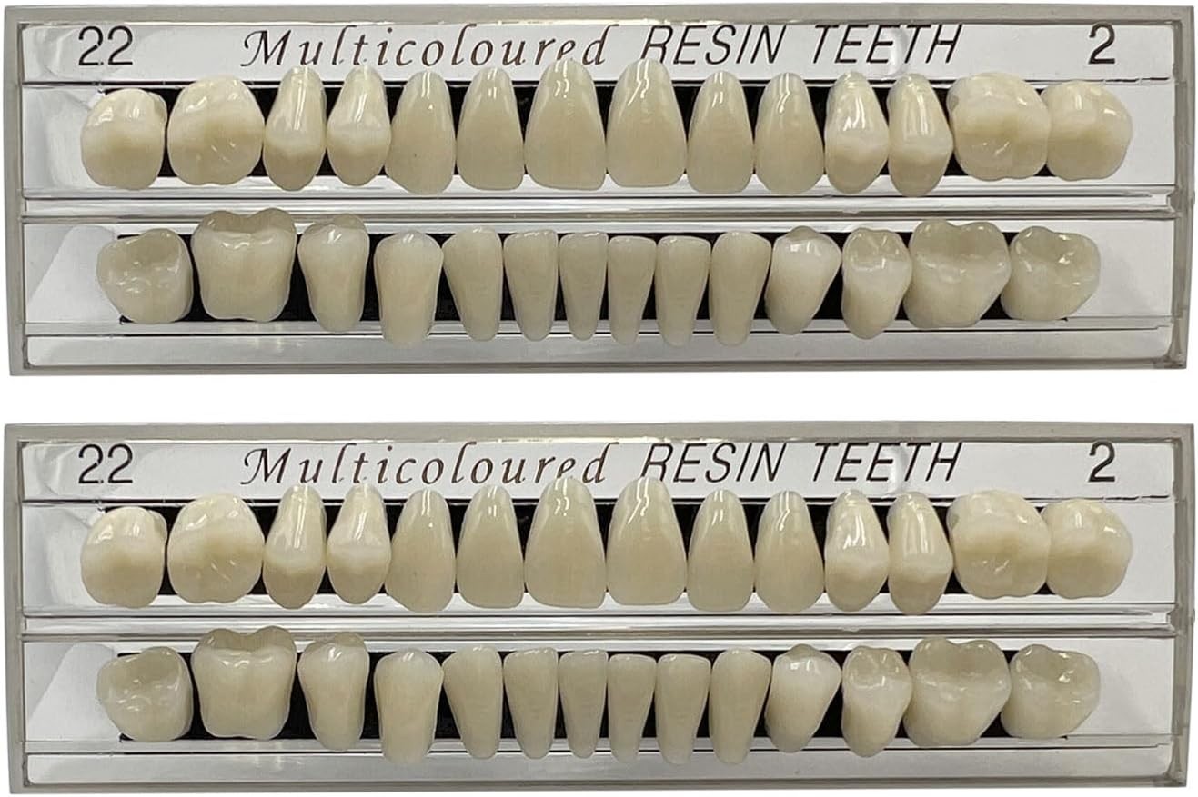 56 Pcs False Teeth Fake 2 Sets Synthetic Resin Dental Tooth, 22 A2
