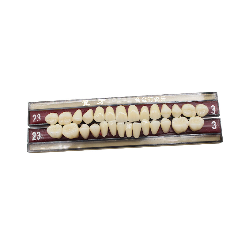 5 Set/Box Alloy Pin Porcelain Teeth Dental Materials Tooth Shade Guide A2 23# US