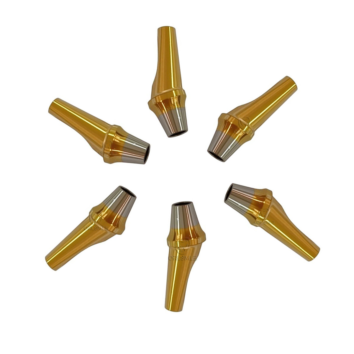 10Pcs Dental Angled abutment 17° Fits Hiossen Osstem TS Mini Regular Hex Non-hex