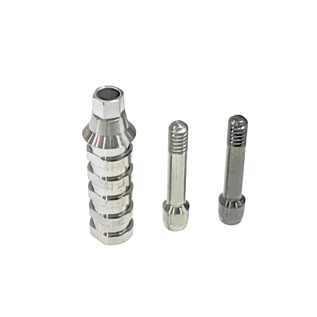 Dental ET Temporary Abutment Mini Regular Hex Non-Hex Ti Screws EbonyGold Osstem