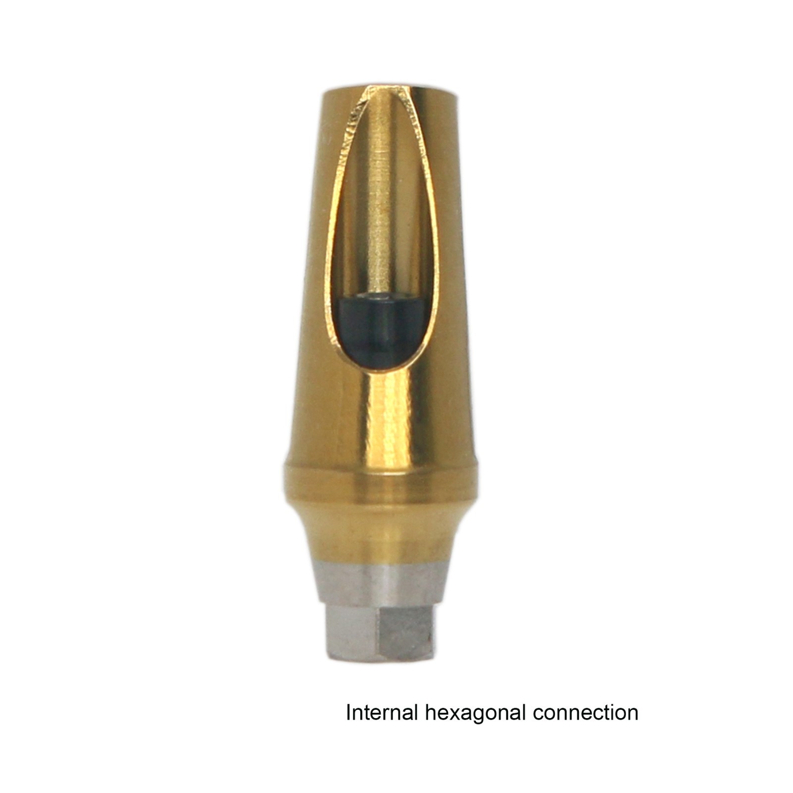 Dental DIO UFII Regular Straight Healing Abutment Impression Coping Zest locator