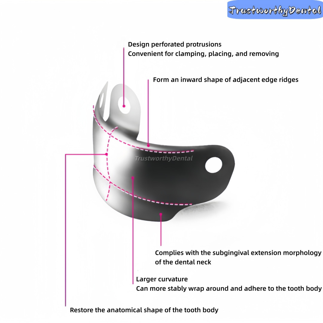 Dental Matrix Bands R7 NITI Matrix Clamp Sectional Contoured Matrix System D3