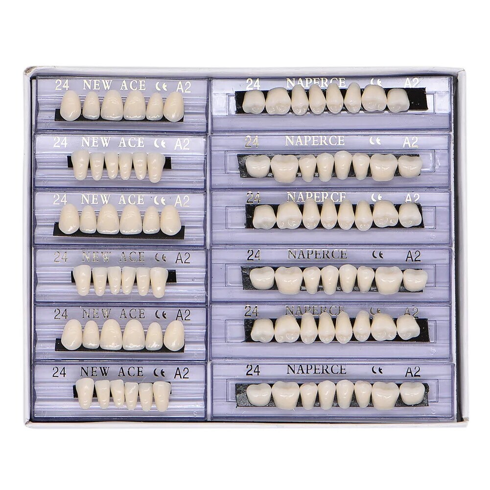 168X Acrylic Resin A1/A2/A3 Dental Denture Teeth Upper Lower Shade 22/23/24# US