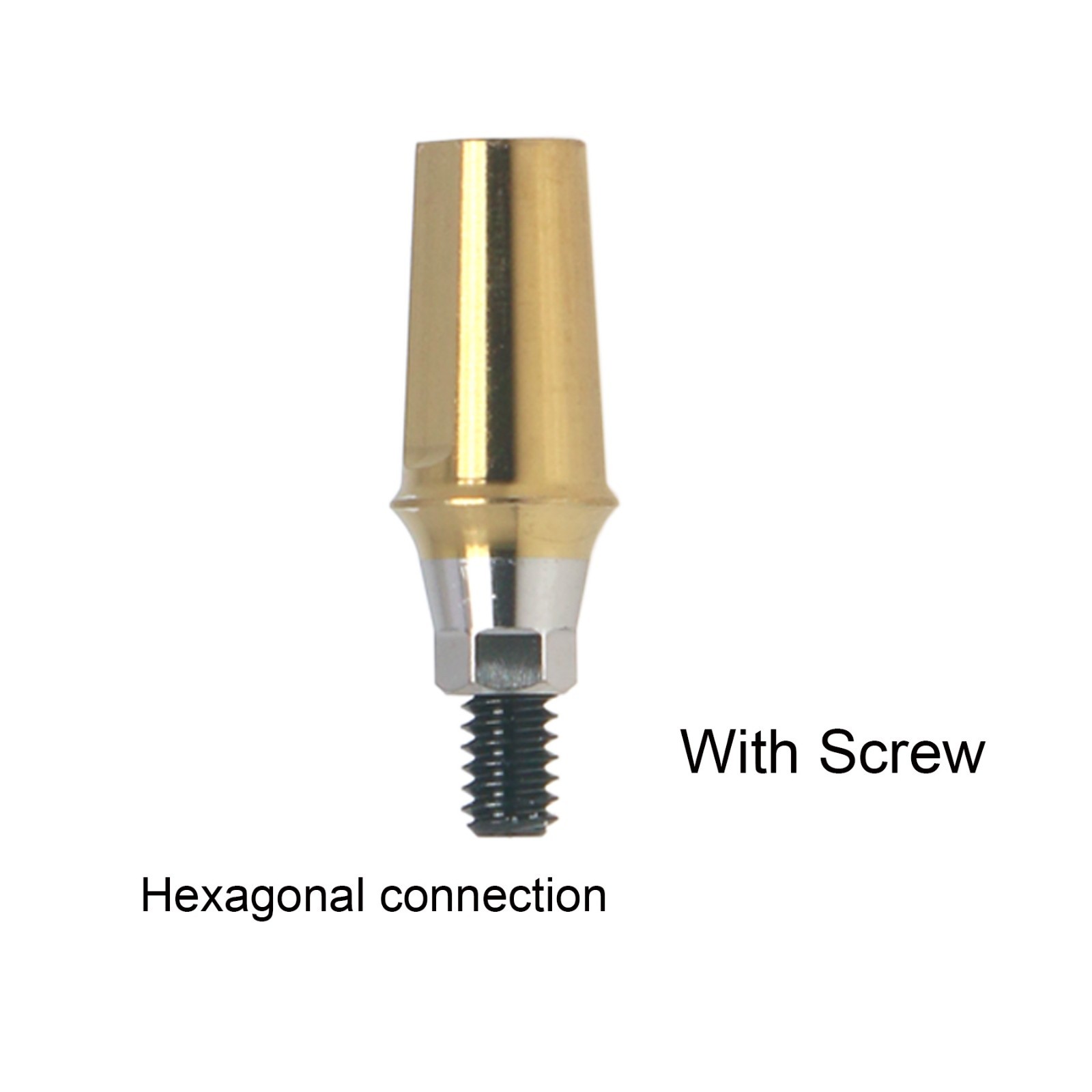 US Dental Titanim Hiossen ET Straight Transfer Abutment Mini/Regualr fit 1-6.0mm