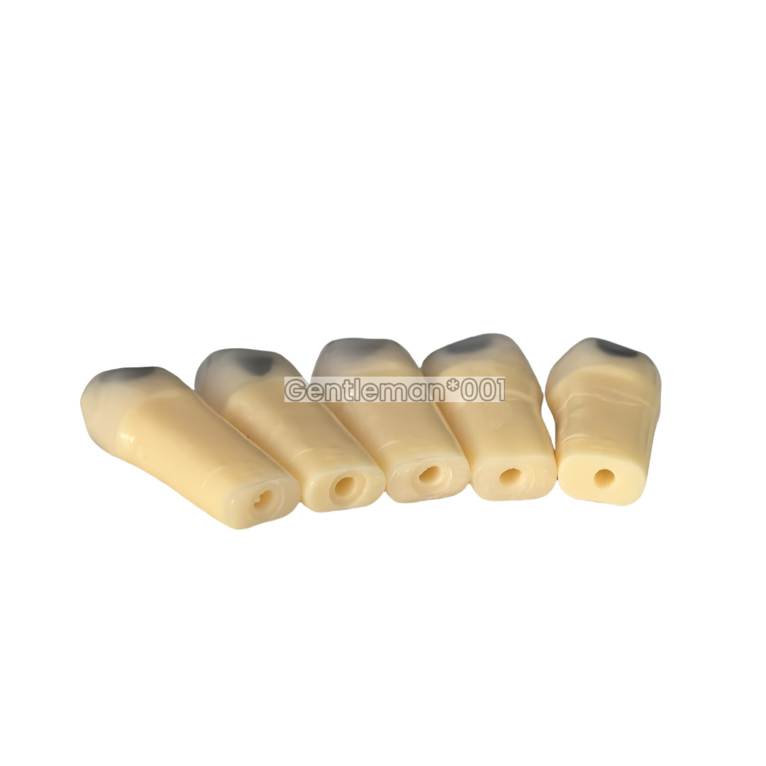 Dental Cavity Teeth Teaching Caries Model Teaching Fits Frasaco AG-3 #25