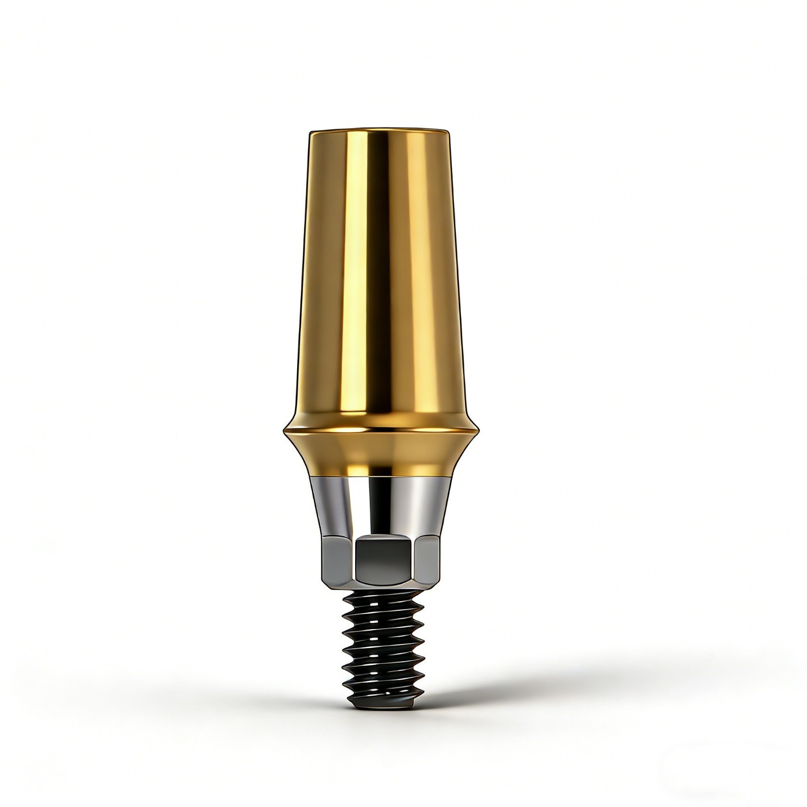 Hiossen ET TS Ti Straight Regular Hex Abutment Single Crown Implant Fixed Bridge