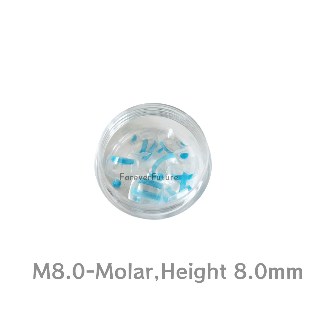 Dental Clear Matrix Anterior/Posterior Teeth Transparent Matrix Fit Bioclear BT
