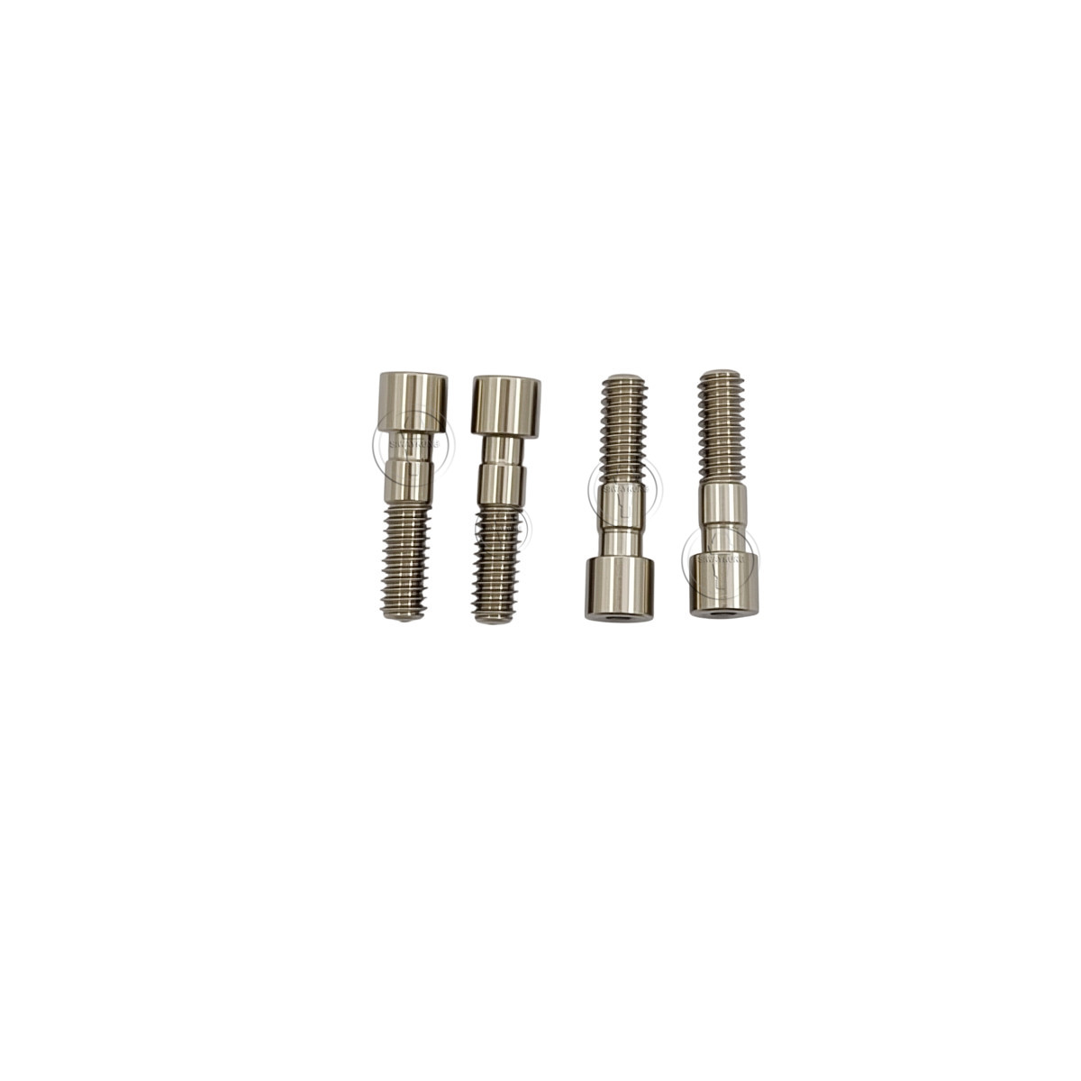 10-100 Pcs Titanium Abutment Screw compatible with C-TECH platform Regular