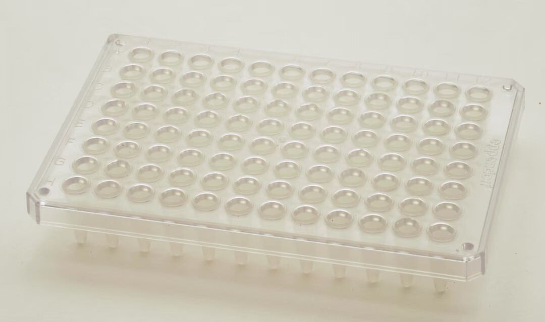 EPPENDORF AG Twin.Tec Microbiology PCR 250 uL Semi-Skirt 300x Plates #951020600