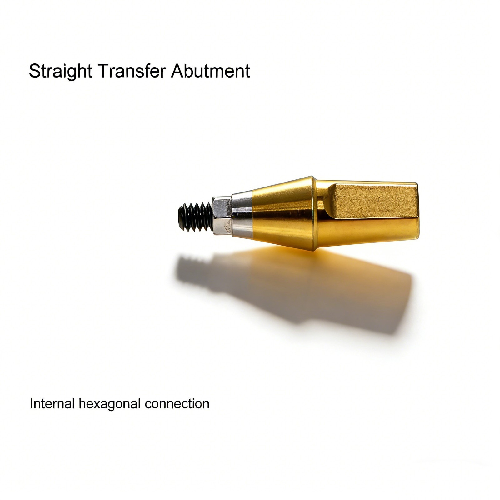 Hiossen ET TS Ti Straight Regular Hex Abutment Single Crown Implant Fixed Bridge