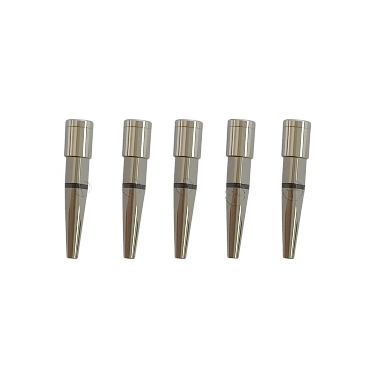 4/6/10/20 Pcs Dental Digital Analog compatible with Straumann ITI BLX