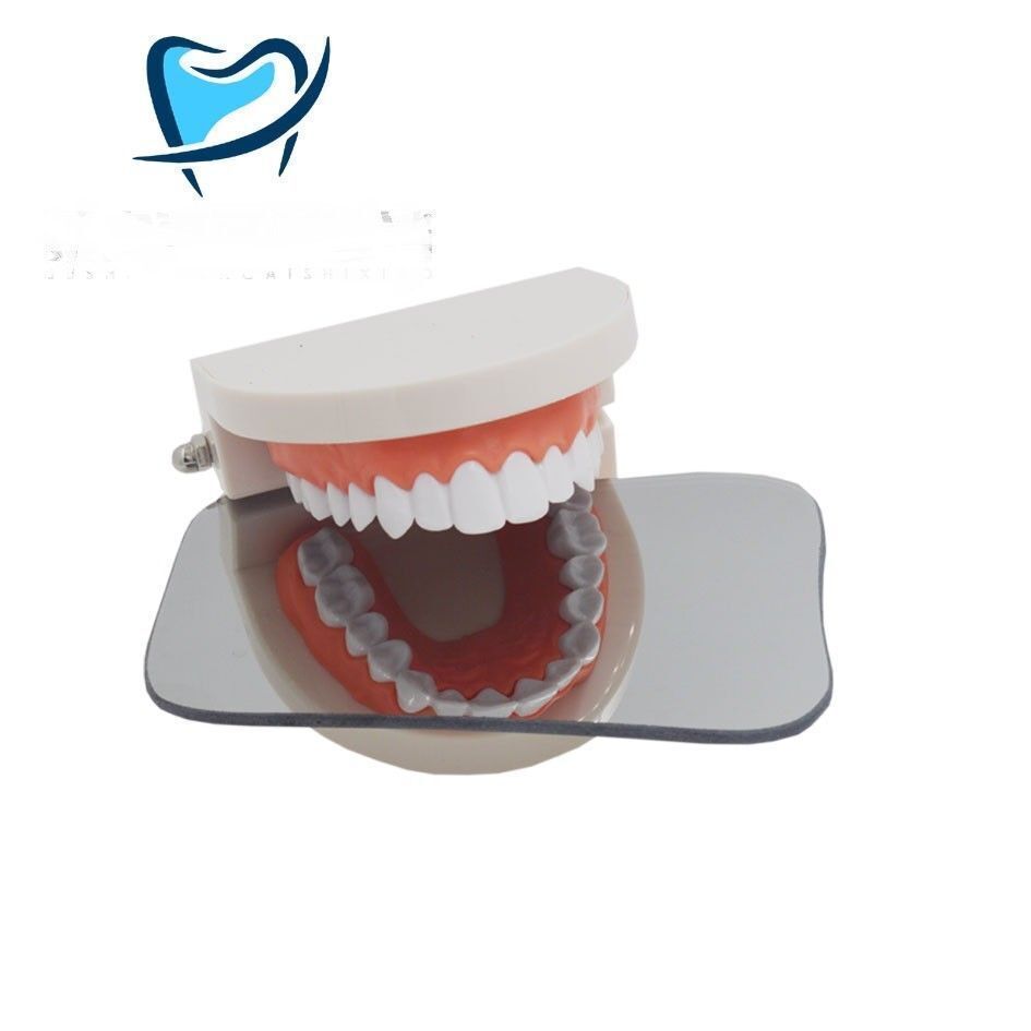 2Pieces Dental Mirror Orthodontic Photo Intra Oral Mirrors Glass Reflector 2side