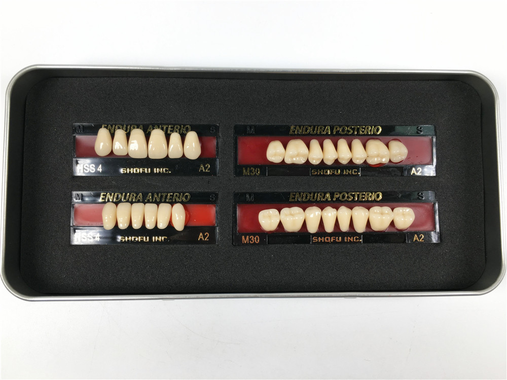 1 Box of SHOFU ENDURA Dental Denture False Teeth Resin A2 M28 M30 M32 Plastic