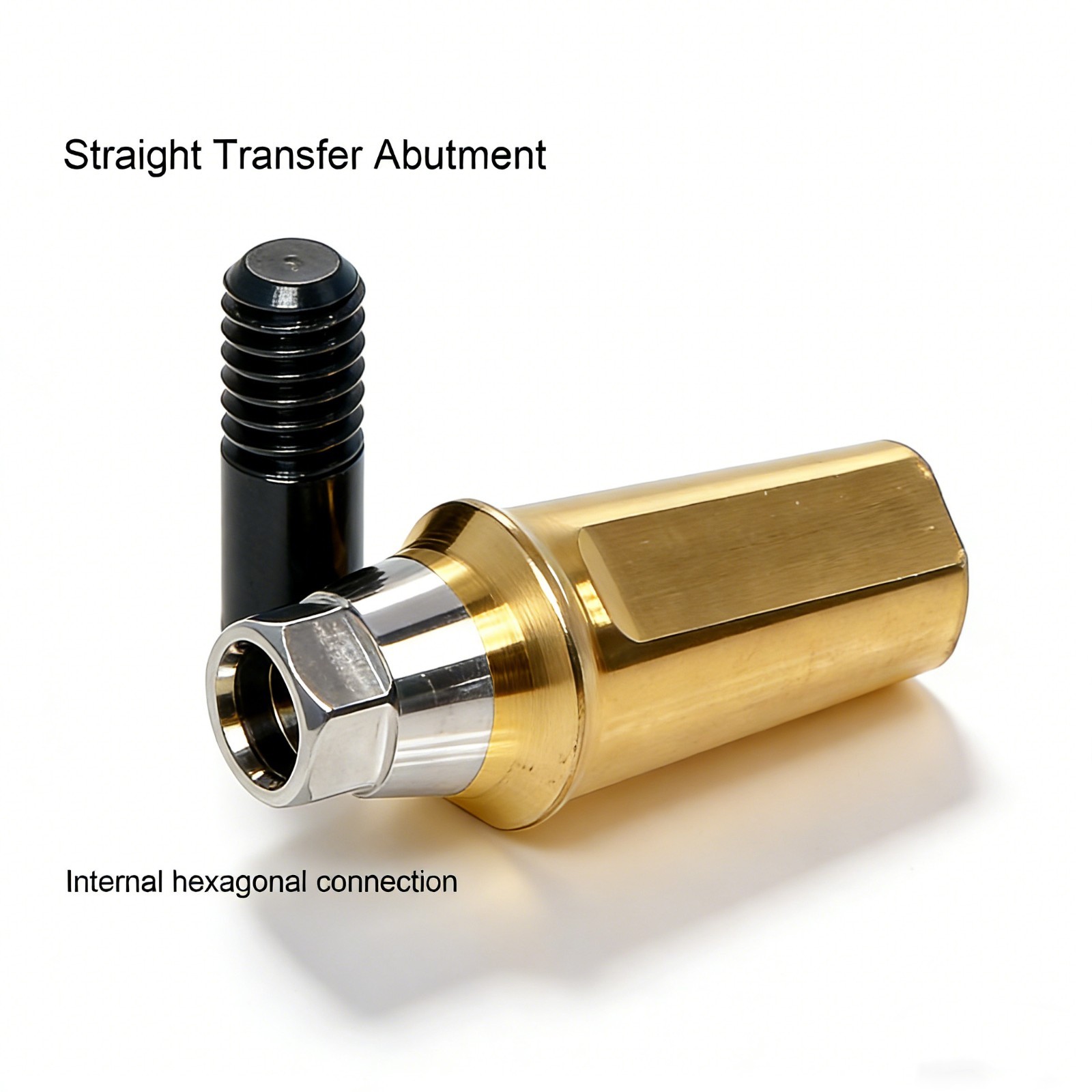Hiossen ET TS Ti Straight Regular Hex Abutment Single Crown Implant Fixed Bridge