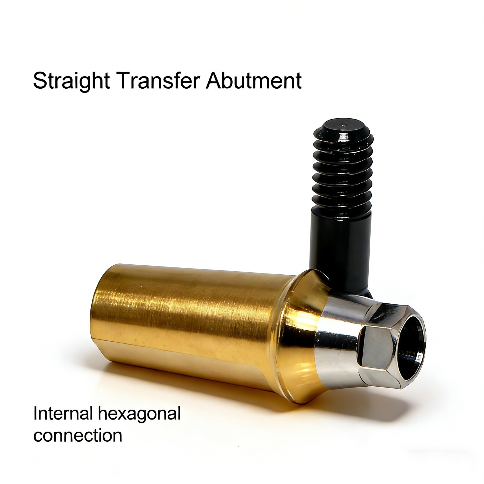 Hiossen ET TS Ti Straight Regular Hex Abutment Single Crown Implant Fixed Bridge